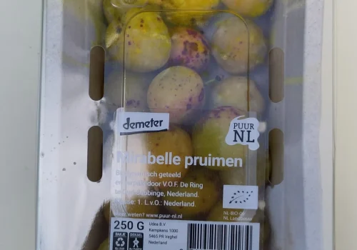 Fruitteeltbedrijf de Ring - Mirabel de Nancy pruimen1