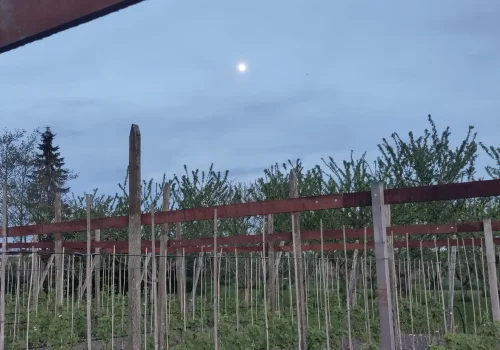 Fruitteeltbedrijf de Ring - Welkom1